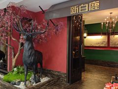 -新白鹿餐厅(银泰西湖文化广场店)