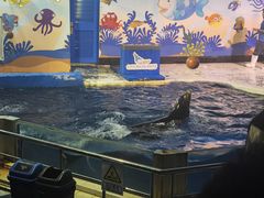 -太平洋海底世界