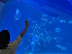 -烟台海昌鲸鲨海洋公园