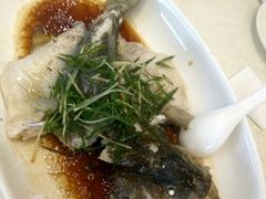 -贞山宾馆水上乐园