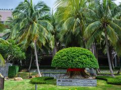 -海南清水湾莱佛士酒店