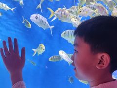 -成都浩海立方海洋公园