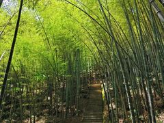 -敬亭山风景名胜区