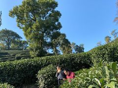 -杭州少年儿童公园
