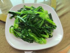 -新合益乡村农庄