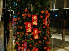 -上海宝华万豪酒店