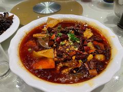-凯鸽酒楼(操场城店)