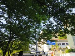 -绮园景区