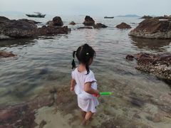 -杨梅坑