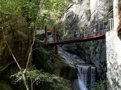 -牛背梁国家森林公园