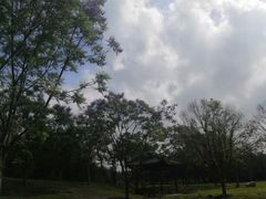 -白鹭湾湿地公园