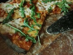 -百好乐宠物友好餐厅(朝外大街店)