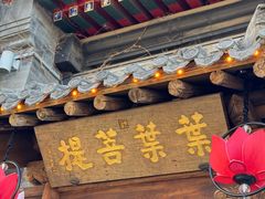 -叶叶菩提(旗舰店)