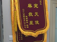 -瑞鹏宠物医院·骨外科·心肾科·肿瘤科(九亭店)