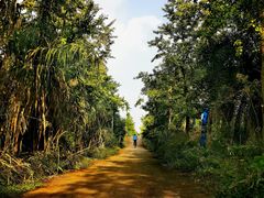 -白鹭湾湿地公园