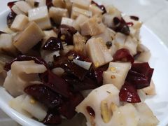 -东吴霸王兔(松青路店)