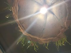 -路边摊小炉子烧烤