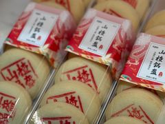 -宏发园动物奶油生日蛋糕(先锋路店)