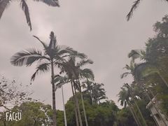 -紫马岭公园