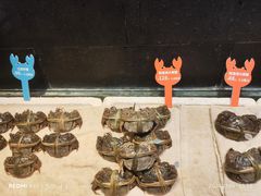 -徐记海鲜(汉城湖|太奥店)