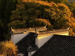 -塔川景区