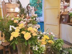-知物癖(牛王庙店)