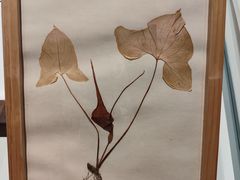 -重庆自然博物馆(新馆)