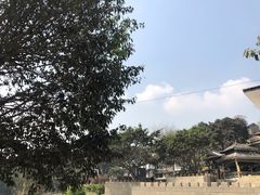 -磁器口古镇