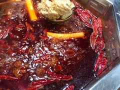 -蜀九香火锅(九眼桥店)