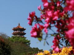 -深圳仙湖植物园