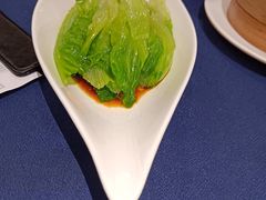 白灼生菜-维园悦谱·海派家常菜(乌鲁木齐南路店)