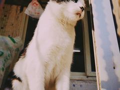 -三点小吃(山大店)