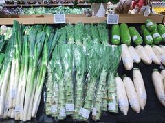 -T11生鲜超市(朝阳公园店)