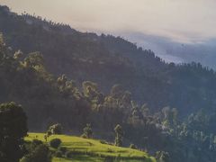 -云里小坐·小院里·团建·宴请·下午茶(三圣乡店)