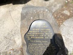 -普陀山风景名胜区-法雨禅寺