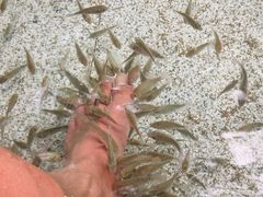 -碧水湾温泉