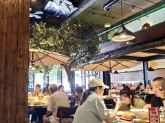 -三强鸽子(中原路店)