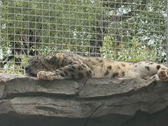 -青藏高原野生动物园