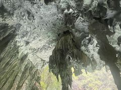 -三门海