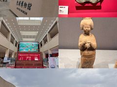 -包头博物馆