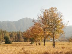 -塔川景区