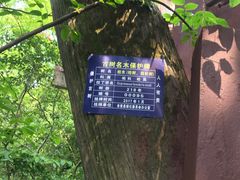 -金堂县云顶石城风景区