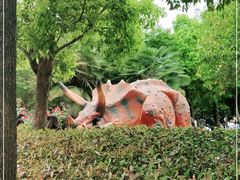 -西峡恐龙遗迹园