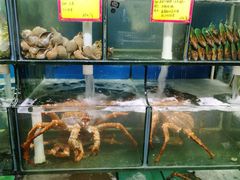 水产区-蚝专家(北滘店)