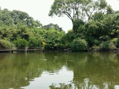android_upload_pic-汇龙潭