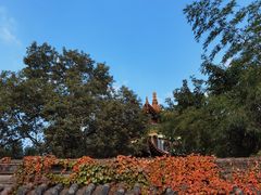 -成都市文殊院