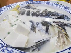 -全乐鱼馆·淳牌有机鱼直营店
