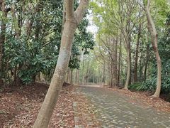 -上海海湾国家森林公园