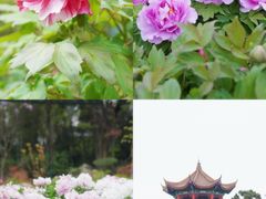 -东湖生态旅游风景区