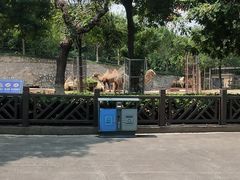 -石家庄市动物园